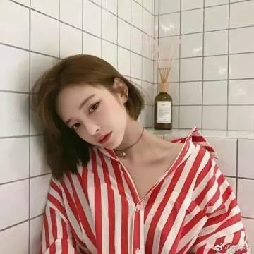 睡觉的顽皮豹